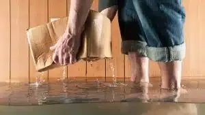 Flooded Basement? Steps Before Calling a Plumber