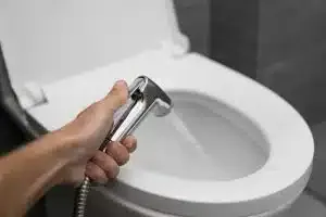 What the Crap is a Bidet?